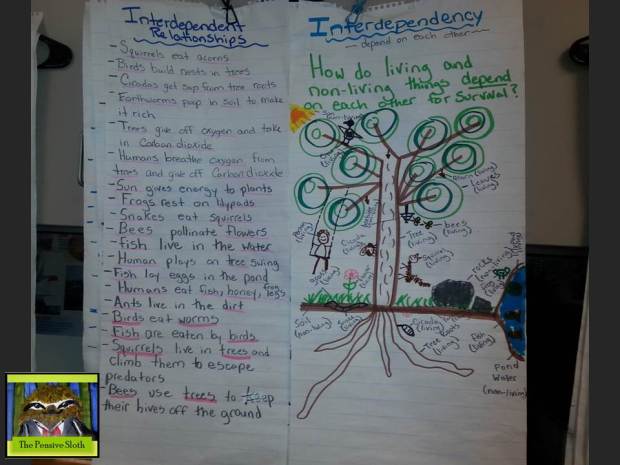 We had a great time launching the interdependency lesson.  Students brainstormed living and non-living things in a park environment and illustrated and wrote about how everything was connected, or interdependent on each other for survival.  Once again, feel free to giggle at my artwork!  I certainly do...but I have fun drawing! 