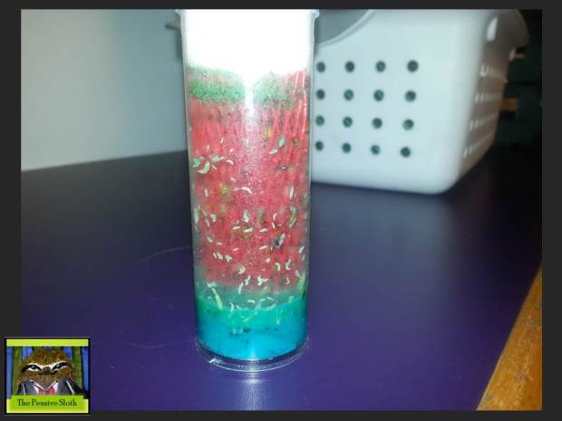 Flightless Fruit Flies Classroom Insect Zoo metamorphosis insect life cycles