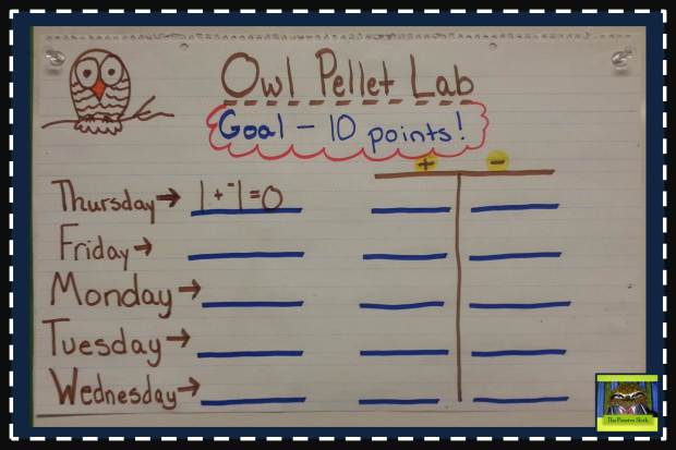 @thepensivesloth Owl Pellet Lab #5thgrade #classroommanagement