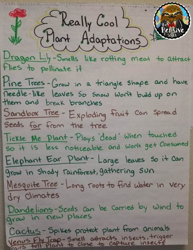 Plant Adaptations Anchor Chart from The Pensive Sloth for 5th Grade STAAR Life Science